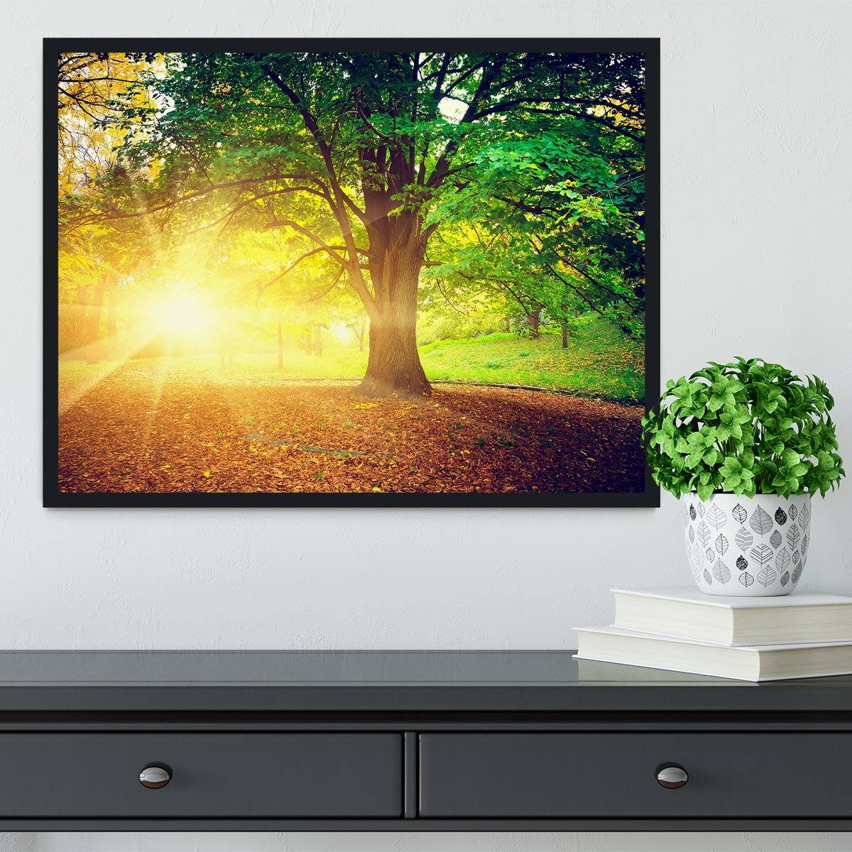 Beautiful park Framed Print - Canvas Art Rocks - 2