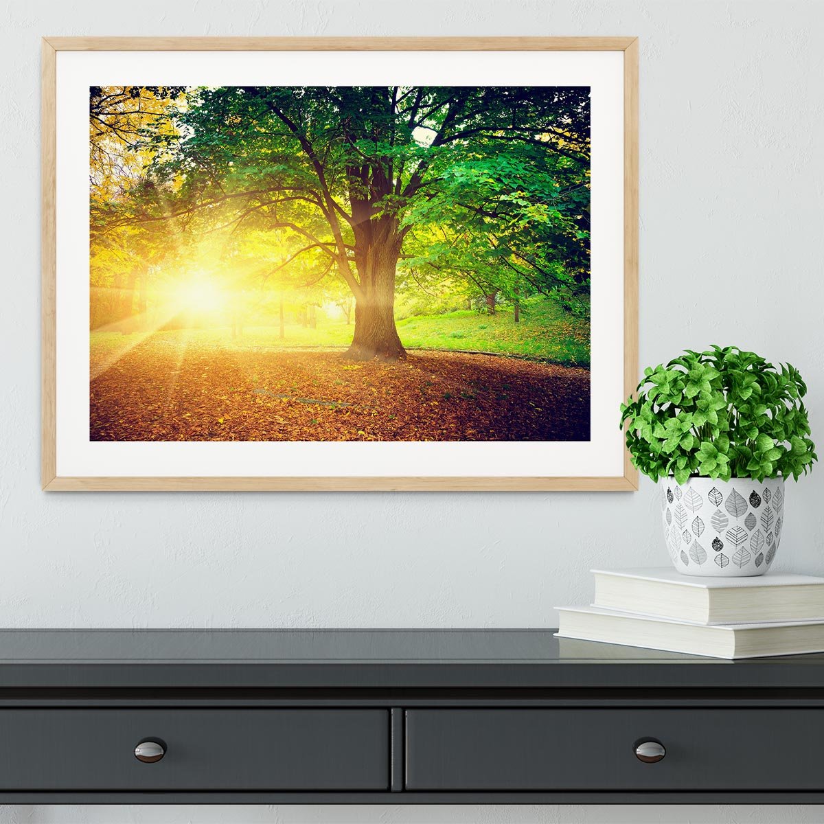 Beautiful park Framed Print - Canvas Art Rocks - 3