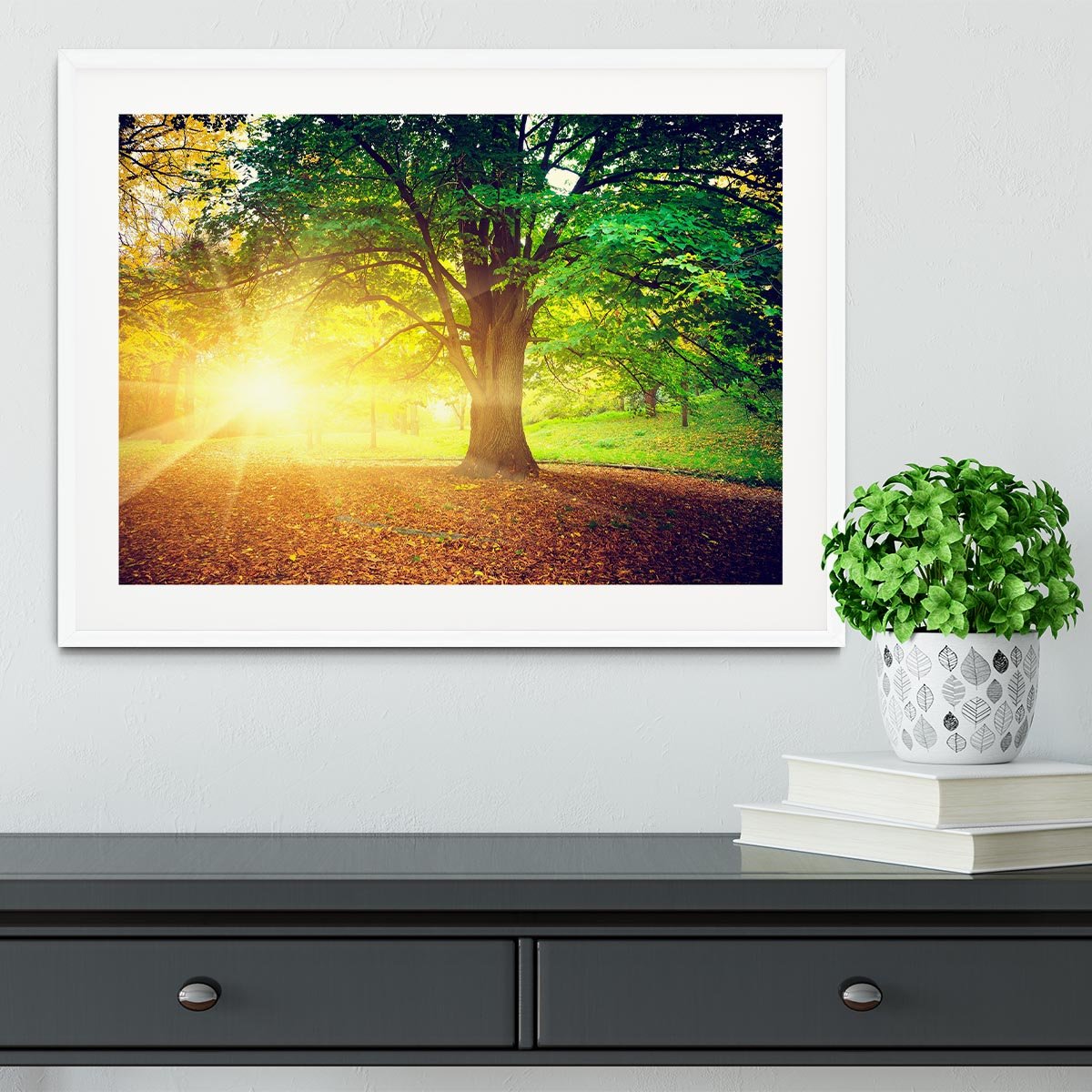 Beautiful park Framed Print - Canvas Art Rocks - 5