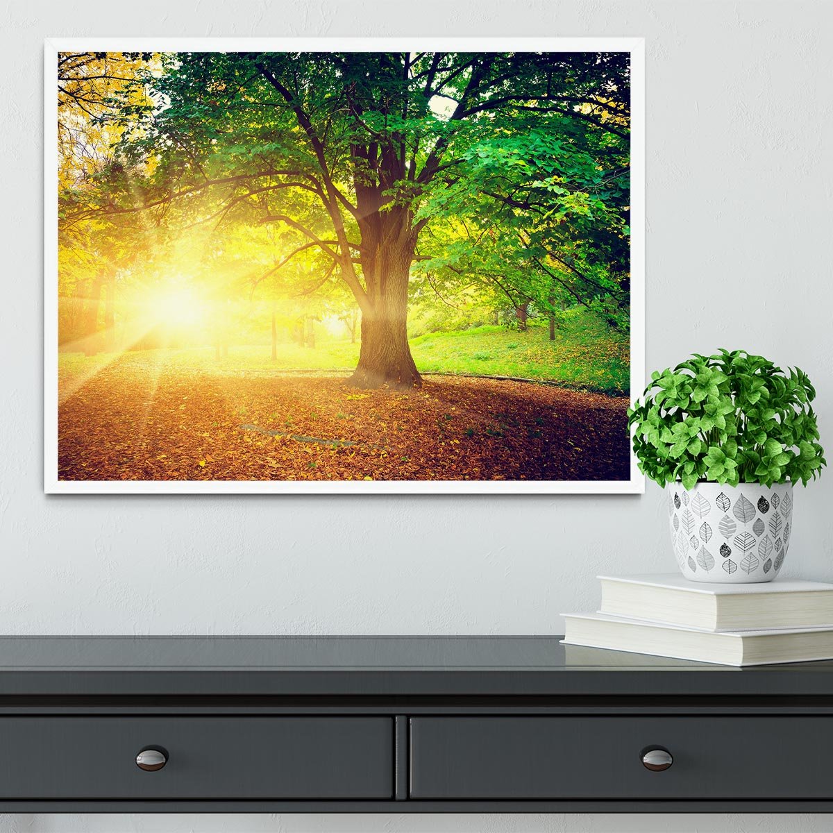 Beautiful park Framed Print - Canvas Art Rocks -6