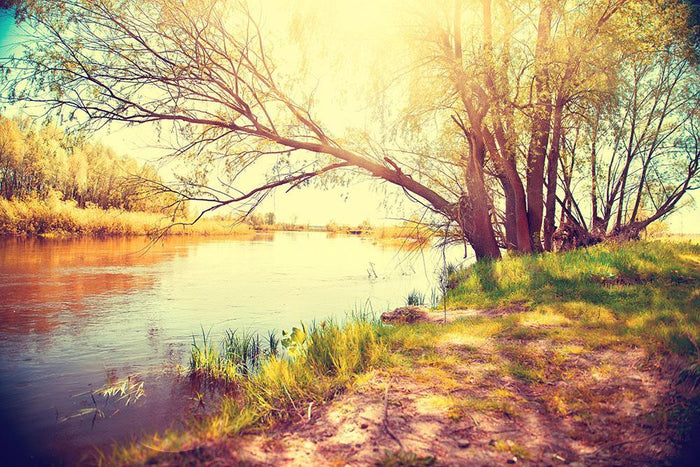 Beautiful scene Wall Mural Wallpaper