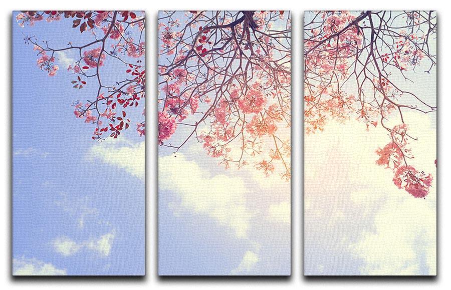 Beautiful tree pink flower in spring 3 Split Panel Canvas Print - Canvas Art Rocks - 1