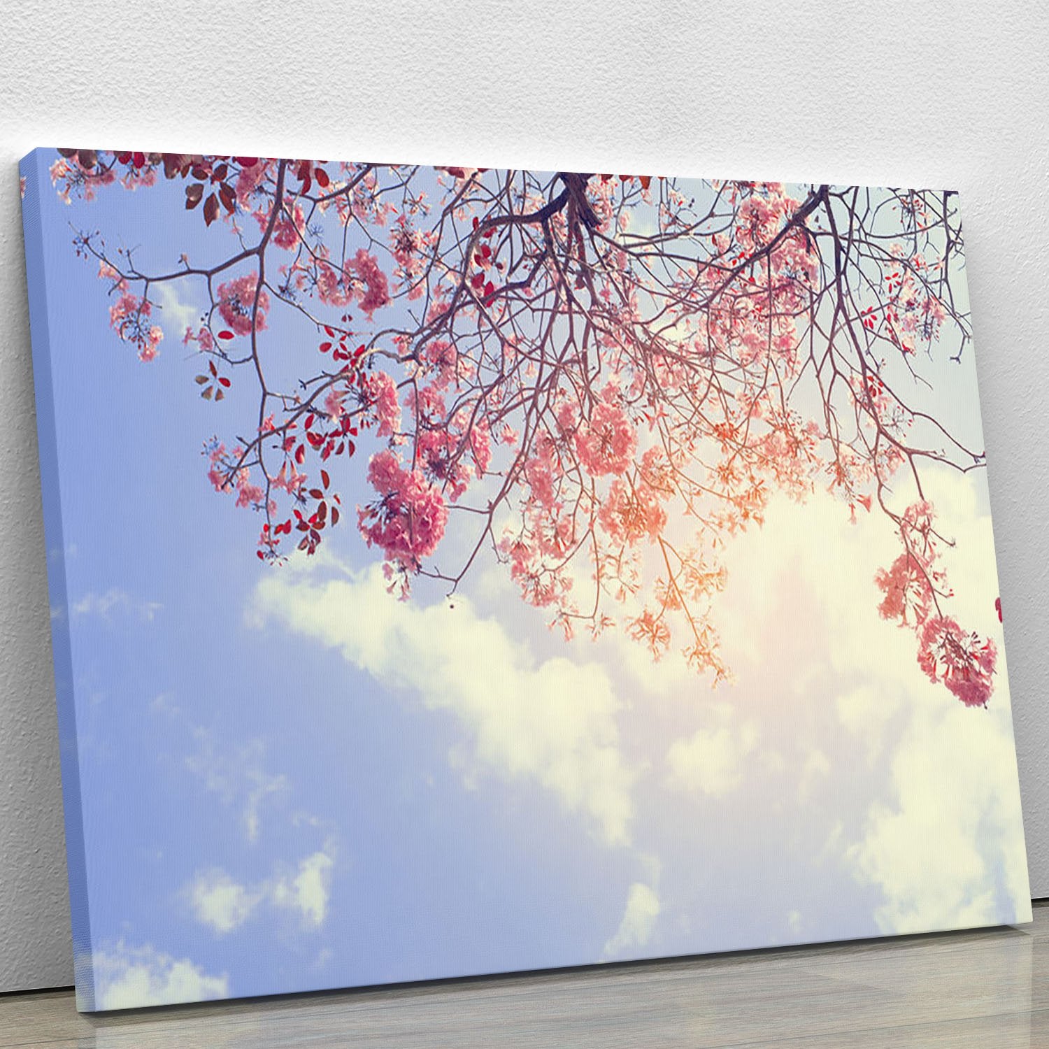Beautiful tree pink flower in spring Canvas Print or Poster