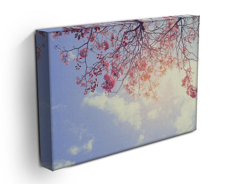 Beautiful tree pink flower in spring Canvas Print or Poster - Canvas Art Rocks - 3
