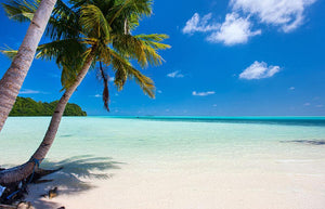 Beautiful tropical beach with palm trees Wall Mural Wallpaper - Canvas Art Rocks - 1
