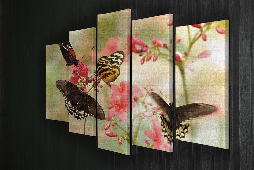 Beautiful tropical butterflies on a red flowers 5 Split Panel Canvas - Canvas Art Rocks - 2