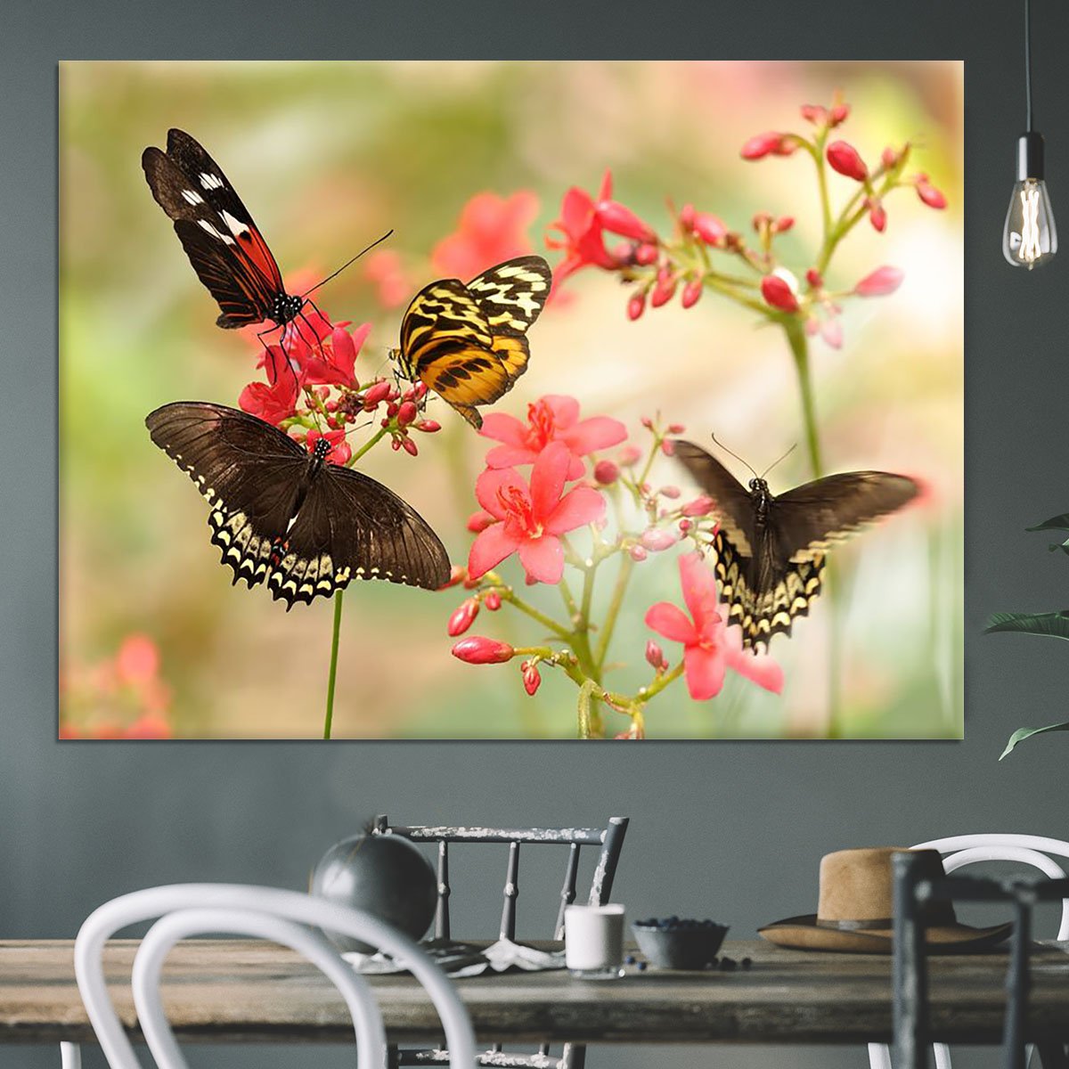 Beautiful tropical butterflies on a red flowers Canvas Print or Poster