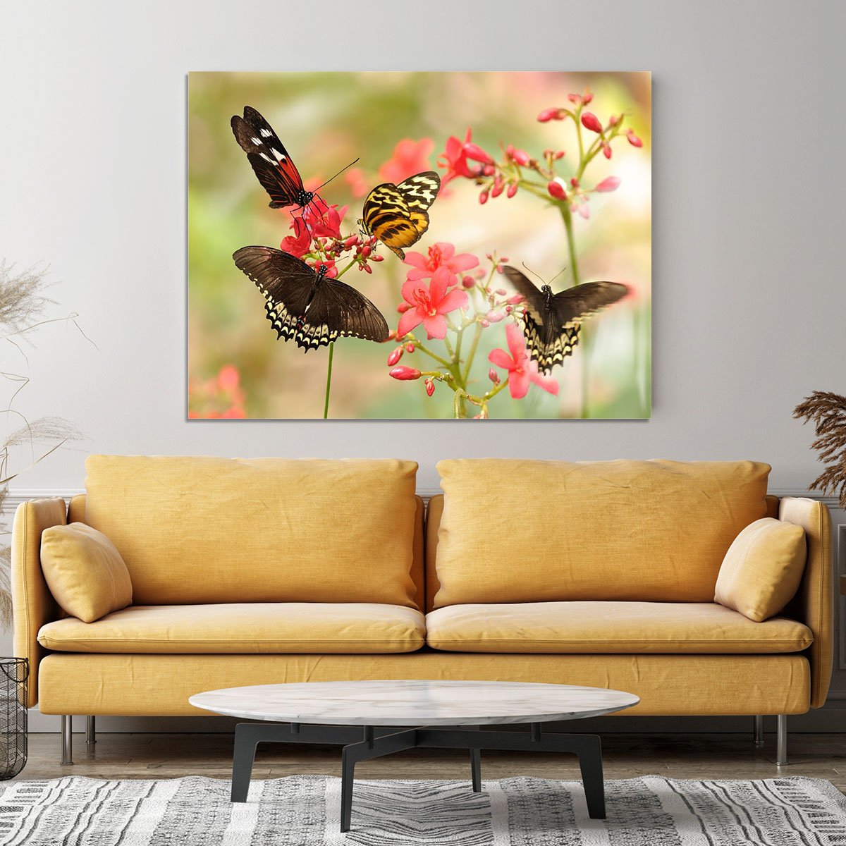Beautiful tropical butterflies on a red flowers Canvas Print or Poster