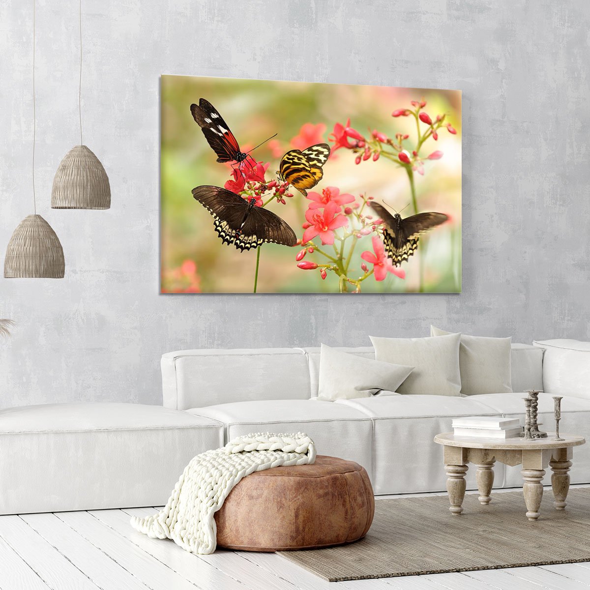 Beautiful tropical butterflies on a red flowers Canvas Print or Poster