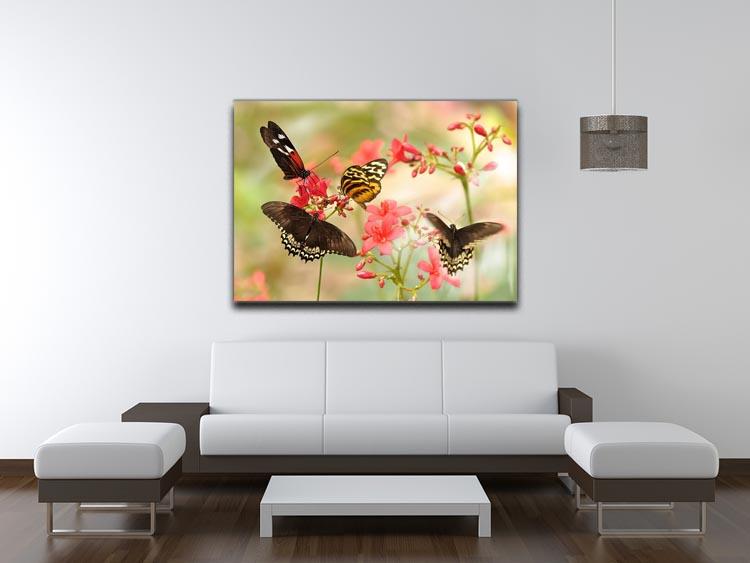 Beautiful tropical butterflies on a red flowers Canvas Print or Poster - Canvas Art Rocks - 4