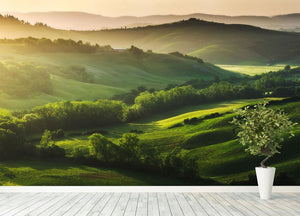 Beautifully illuminated landscape Wall Mural Wallpaper - Canvas Art Rocks - 4