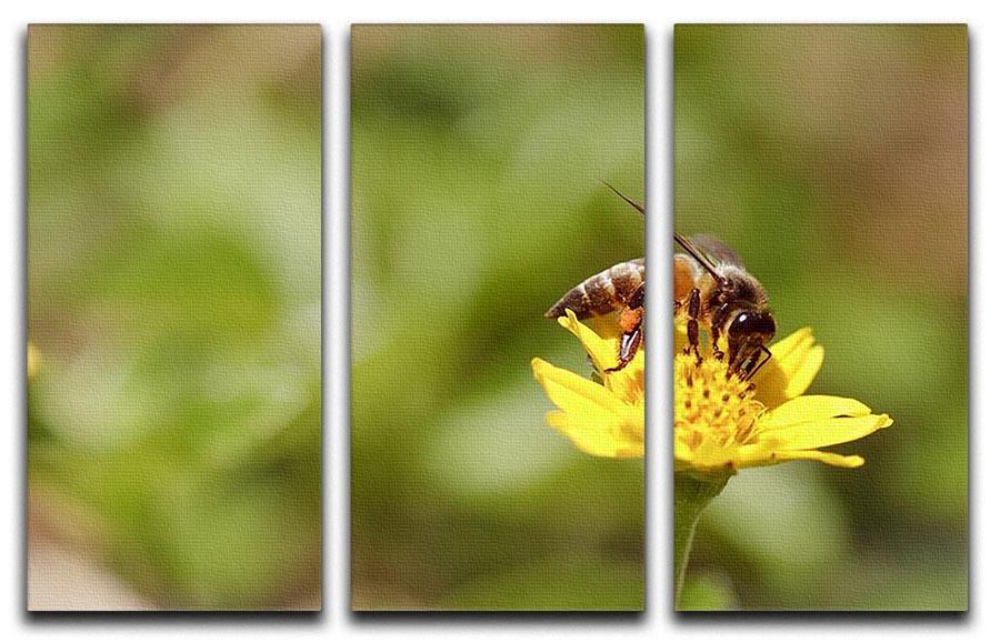 Bee and small sunflower 3 Split Panel Canvas Print - Canvas Art Rocks - 1