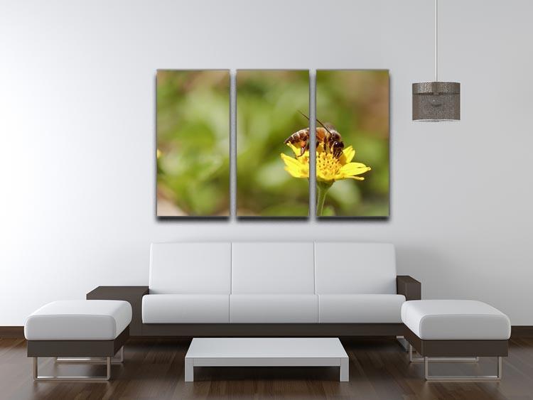 Bee and small sunflower 3 Split Panel Canvas Print - Canvas Art Rocks - 3