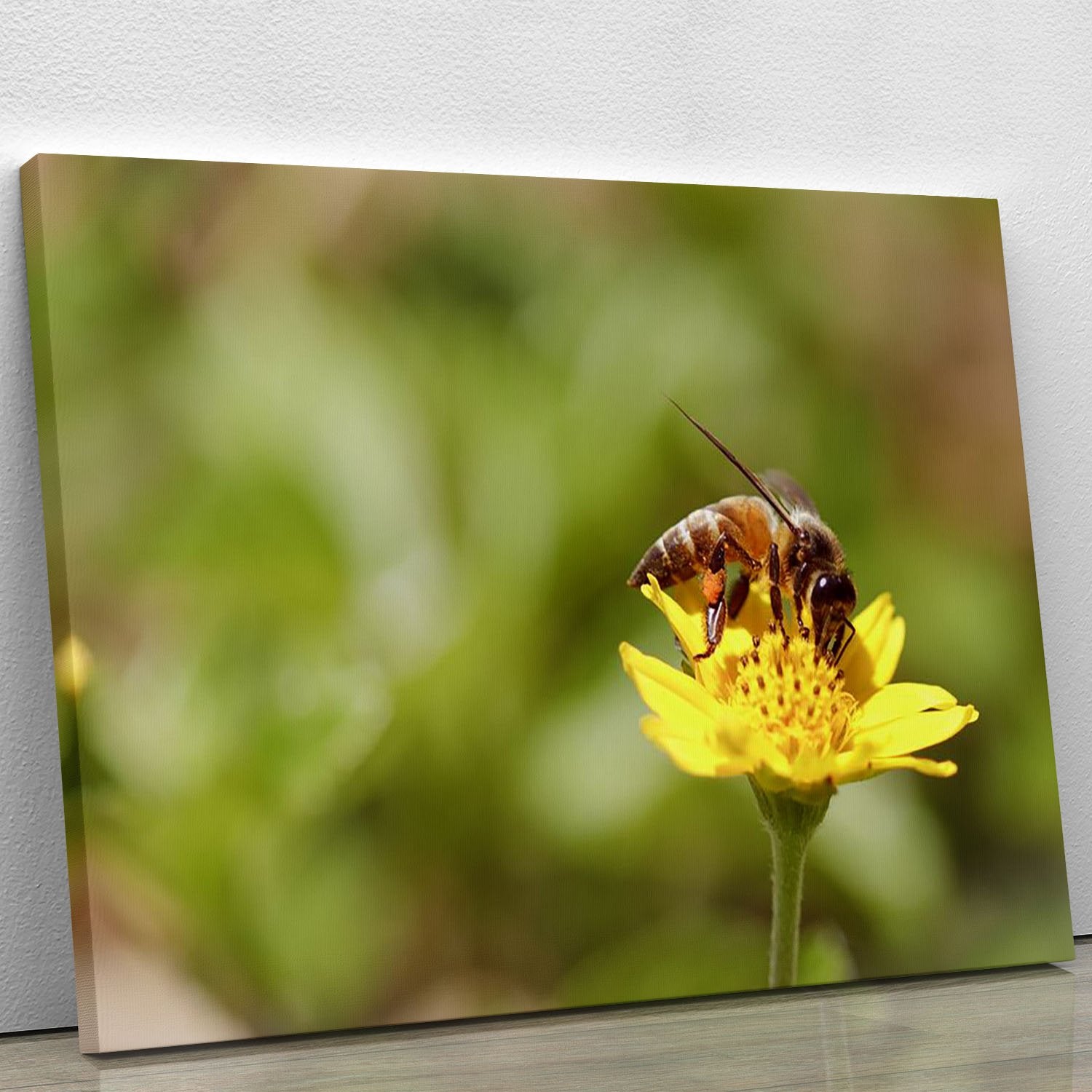 Bee and small sunflower Canvas Print or Poster