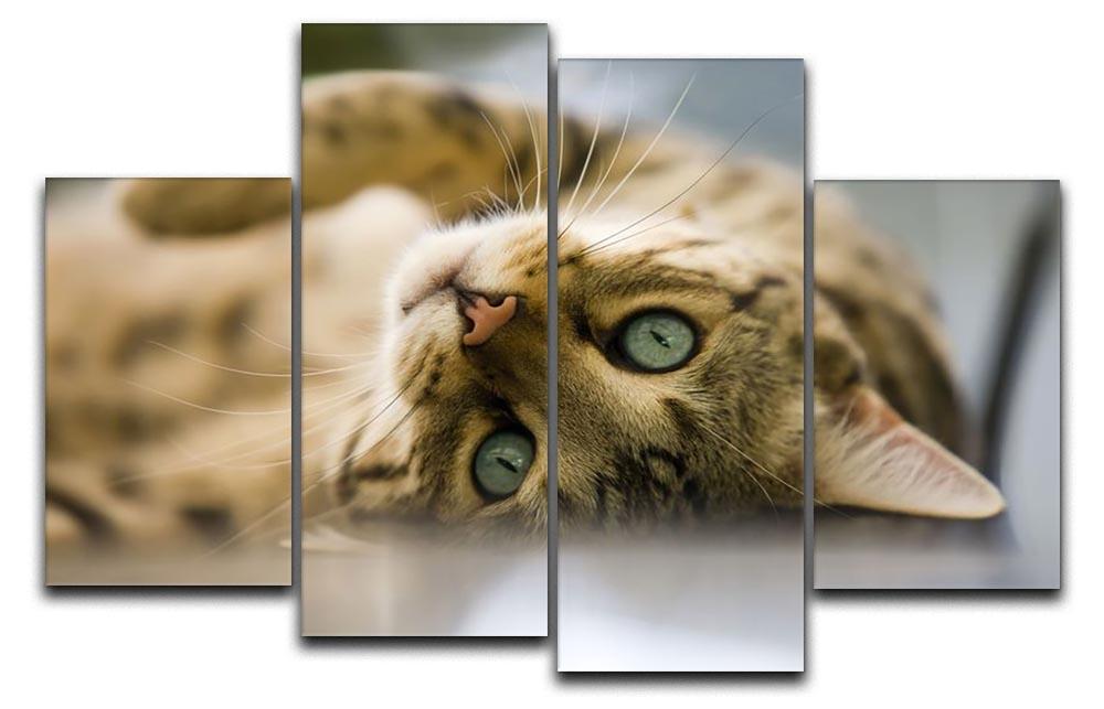 Bengal cat 4 Split Panel Canvas - Canvas Art Rocks - 1