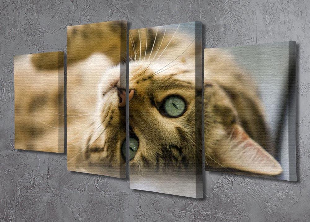 Bengal cat 4 Split Panel Canvas - Canvas Art Rocks - 2