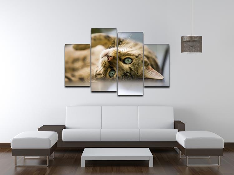 Bengal cat 4 Split Panel Canvas - Canvas Art Rocks - 3