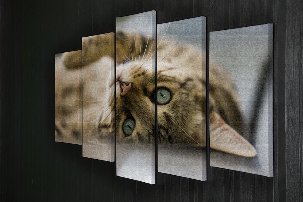 Bengal cat 5 Split Panel Canvas - Canvas Art Rocks - 2
