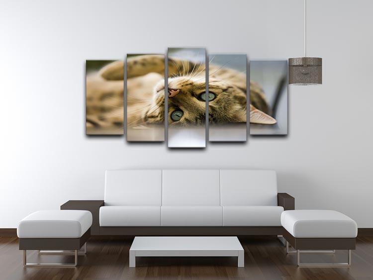 Bengal cat 5 Split Panel Canvas - Canvas Art Rocks - 3