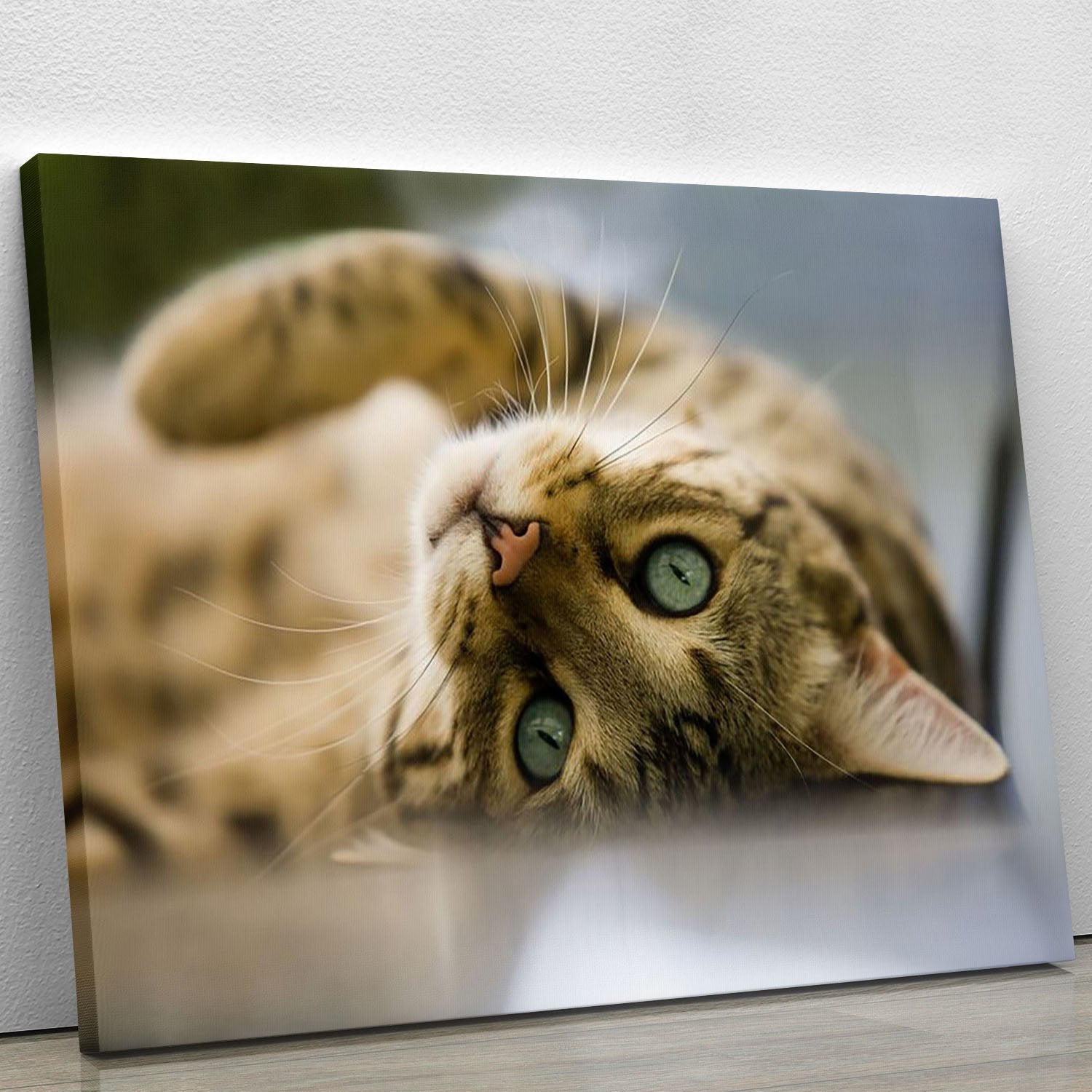 Bengal cat Canvas Print or Poster