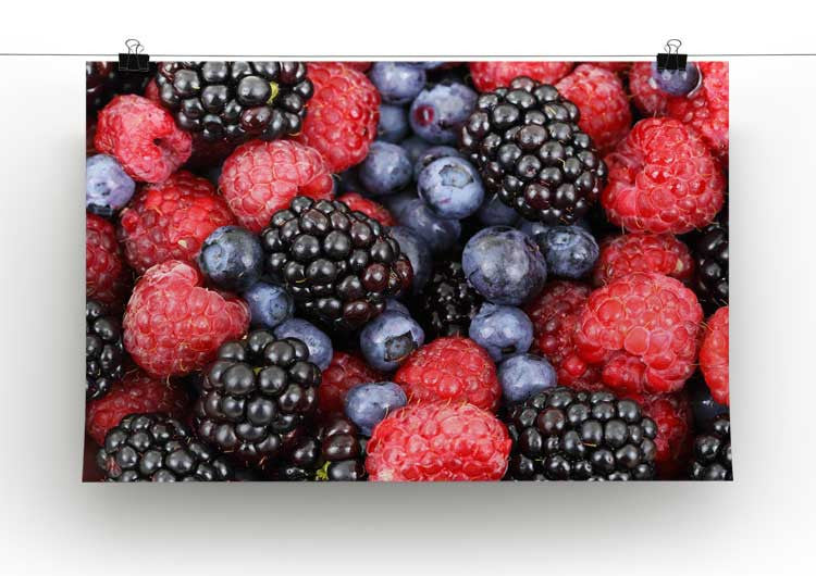 Summer Berries Print - Canvas Art Rocks - 2