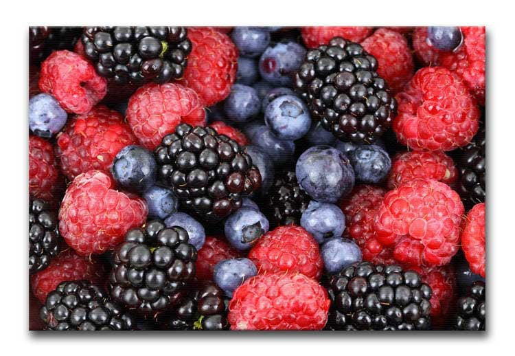 Summer Berries Print - Canvas Art Rocks - 1