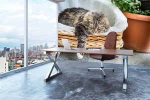 Big fluffy cat lying in wicker chaise sofa couch on balcony or garden terrace with flowers pot Wall Mural Wallpaper - Canvas Art Rocks - 3