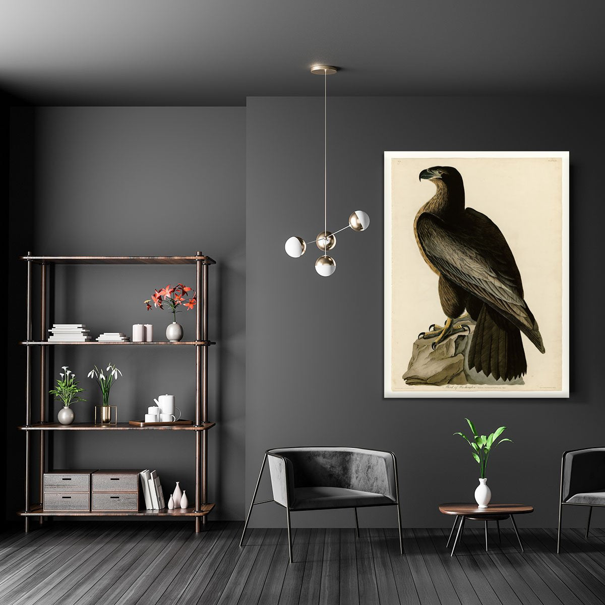 Bird of Washington by Audubon Canvas Print or Poster