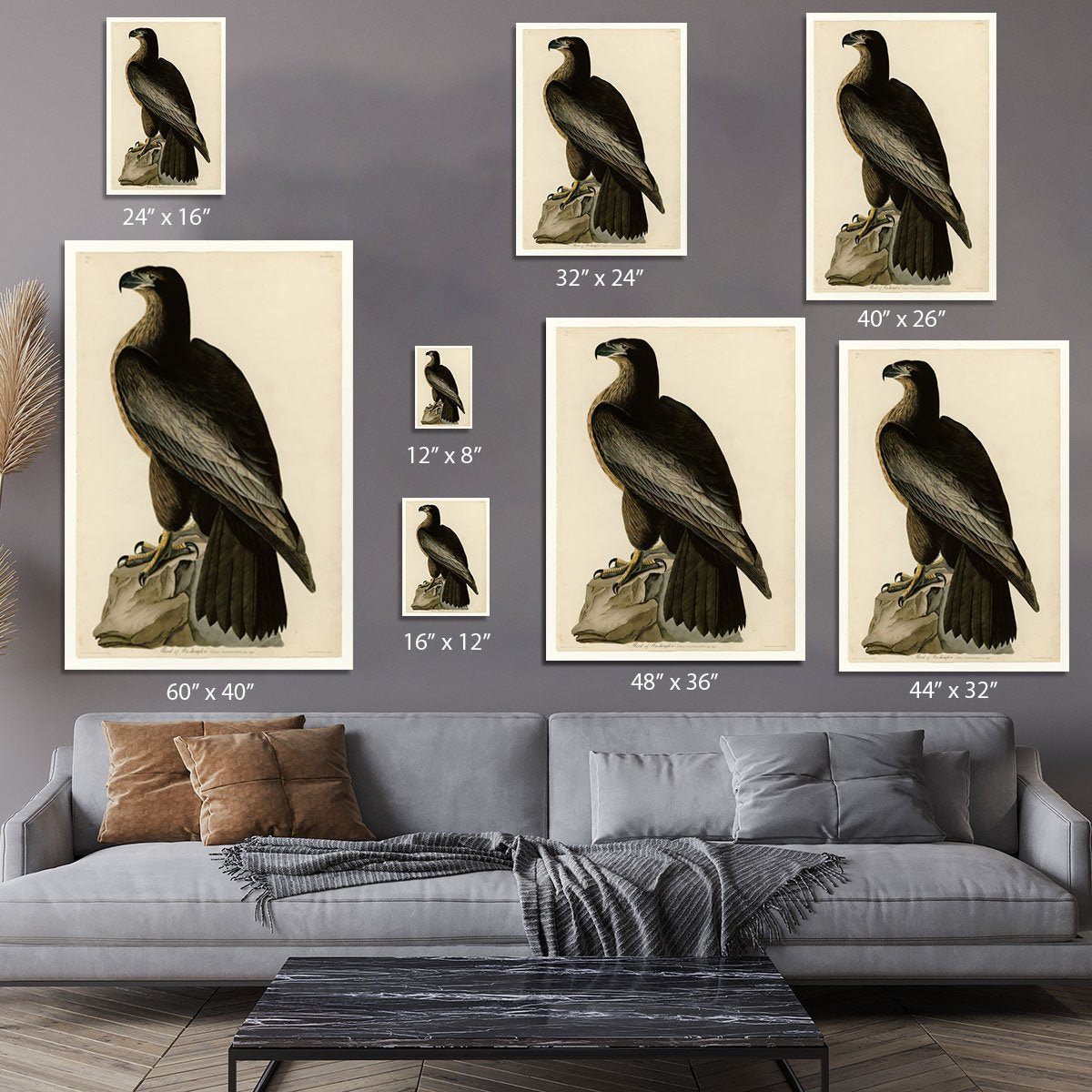Bird of Washington by Audubon Canvas Print or Poster