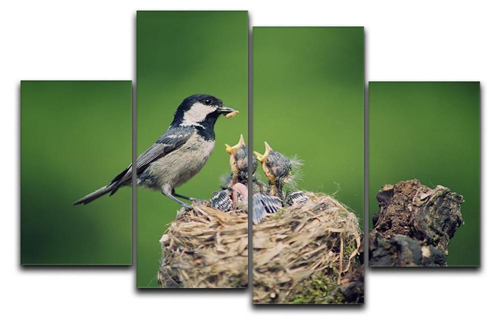 Birds 4 Split Panel Canvas - Canvas Art Rocks - 1