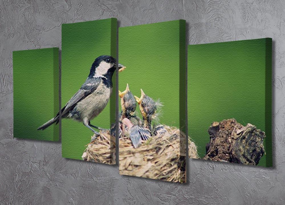 Birds 4 Split Panel Canvas - Canvas Art Rocks - 2