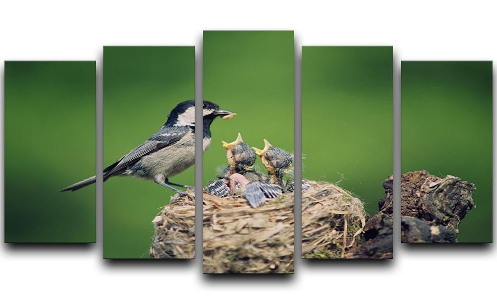 Birds 5 Split Panel Canvas - Canvas Art Rocks - 1