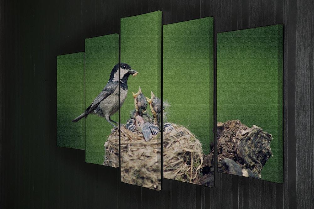 Birds 5 Split Panel Canvas - Canvas Art Rocks - 2
