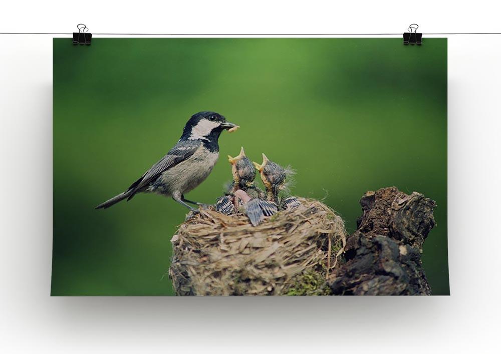 Birds Canvas Print or Poster - Canvas Art Rocks - 2