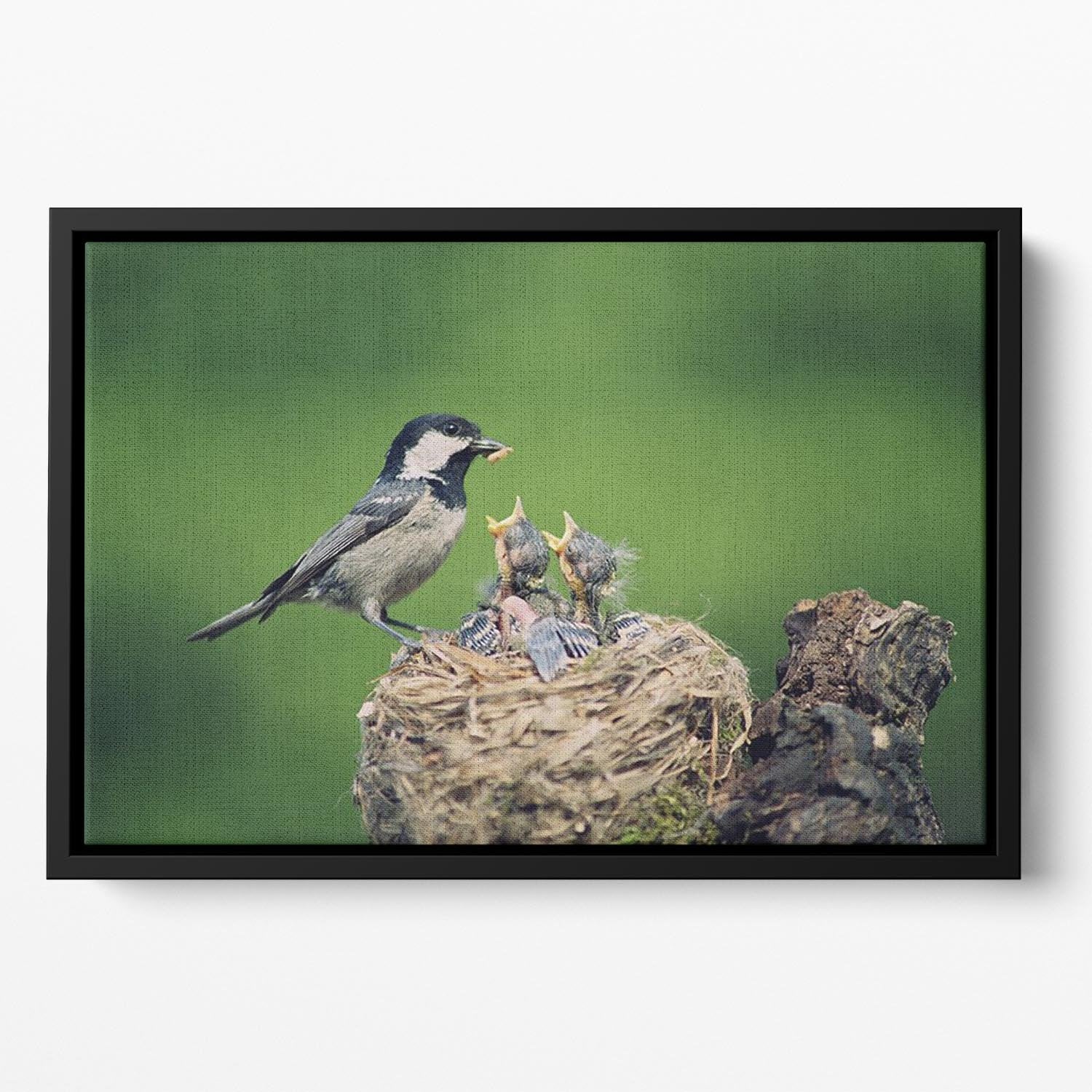 Birds Floating Framed Canvas - Canvas Art Rocks - 2