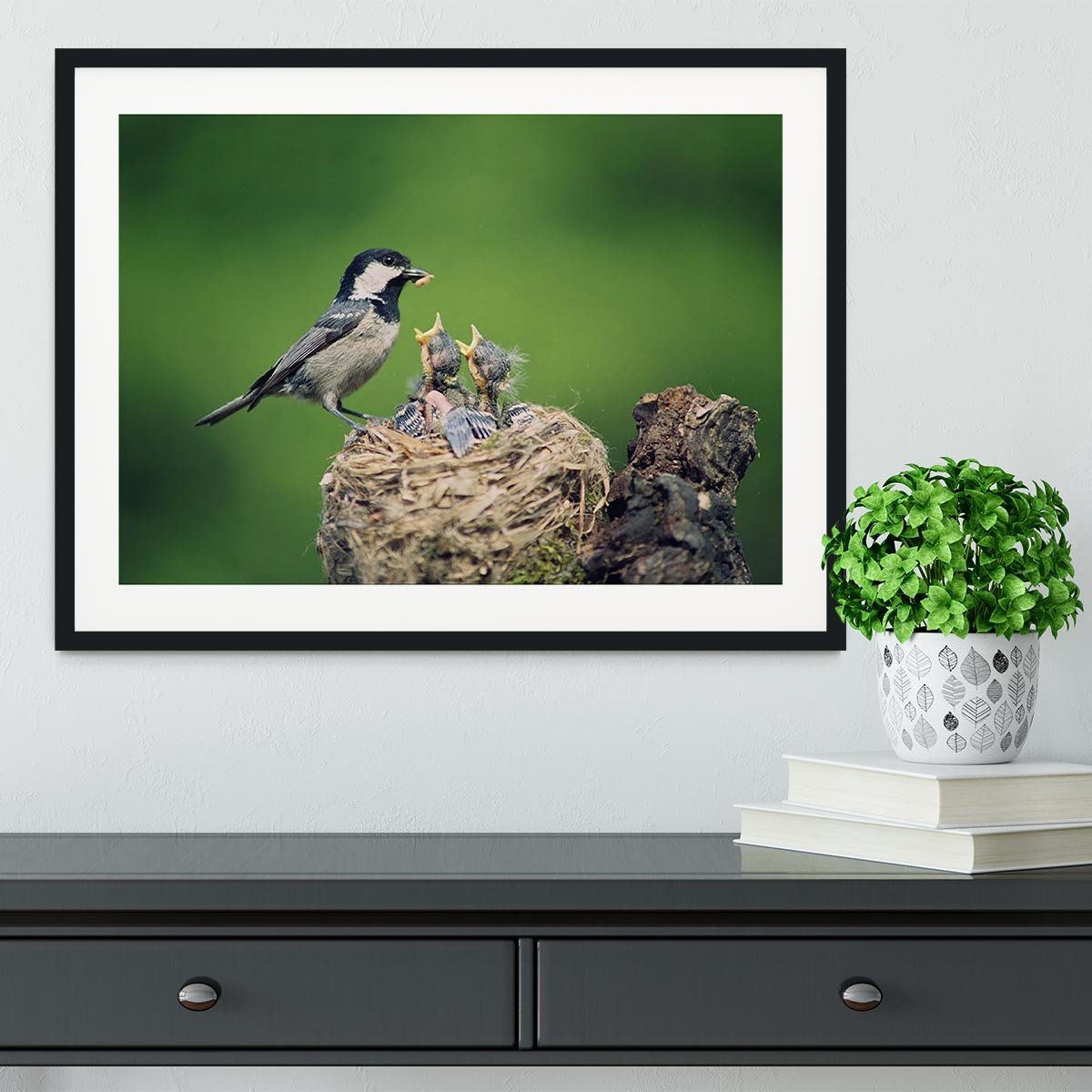 Birds Framed Print - Canvas Art Rocks - 1