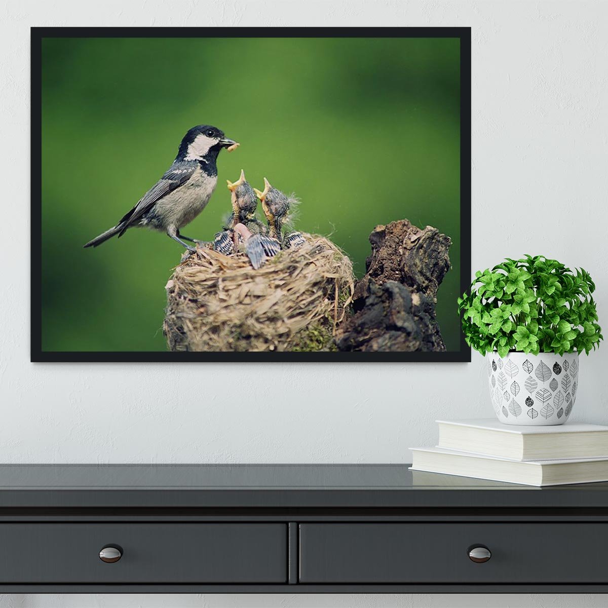 Birds Framed Print - Canvas Art Rocks - 2