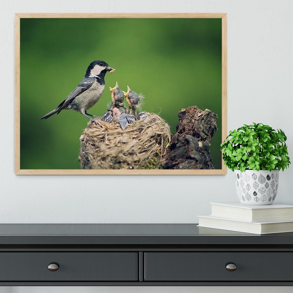 Birds Framed Print - Canvas Art Rocks - 4