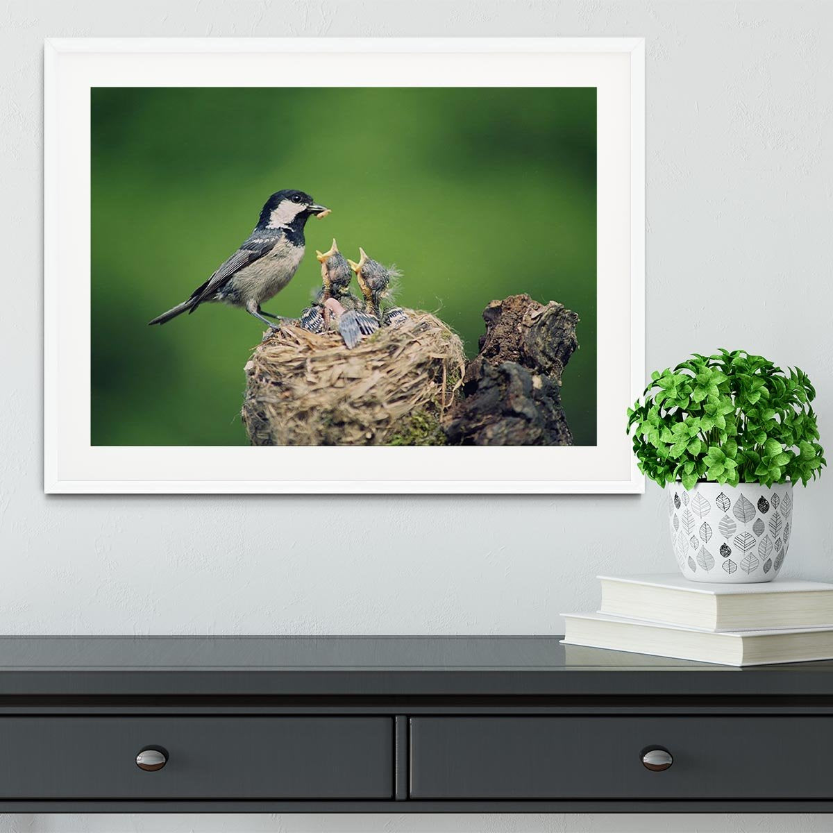 Birds Framed Print - Canvas Art Rocks - 5