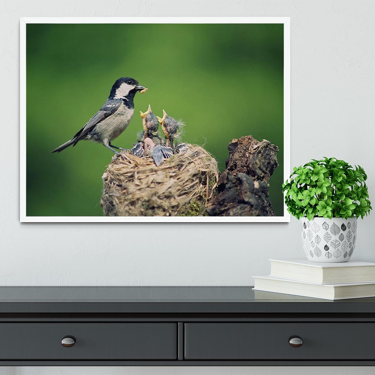 Birds Framed Print - Canvas Art Rocks -6