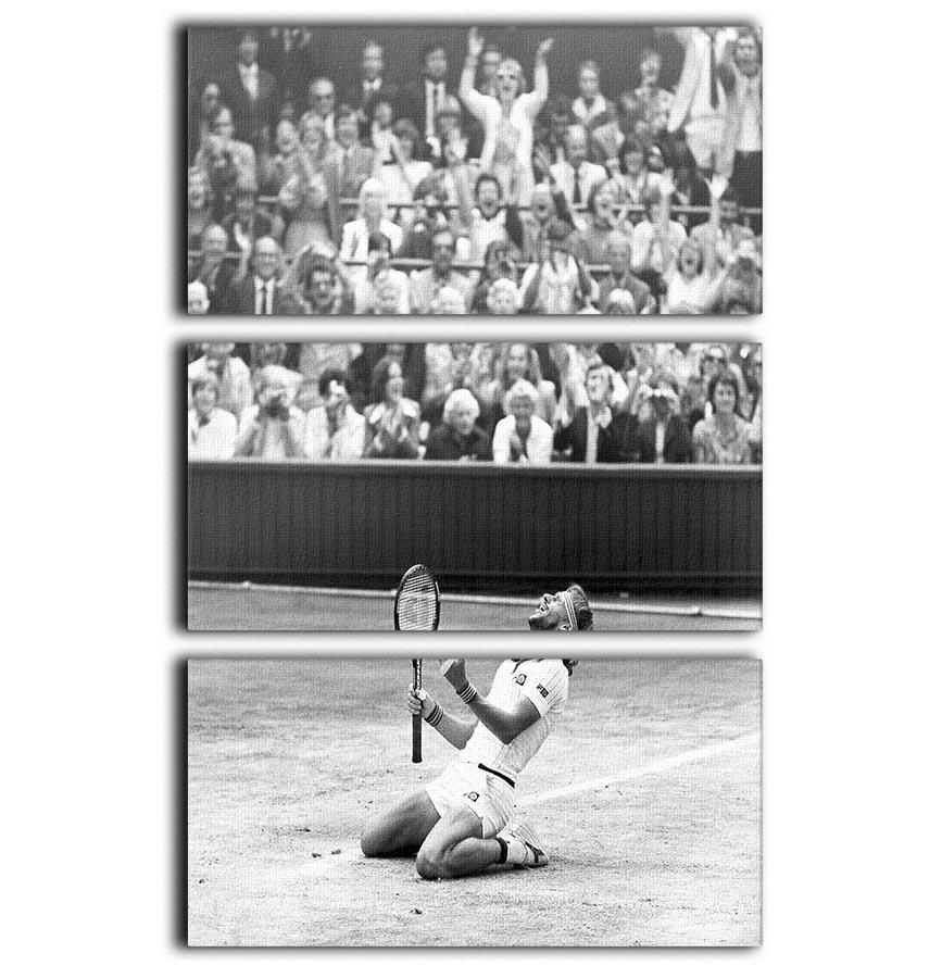 Bjorn Borg celebrates at Wimbledon 3 Split Panel Canvas Print - Canvas Art Rocks - 1