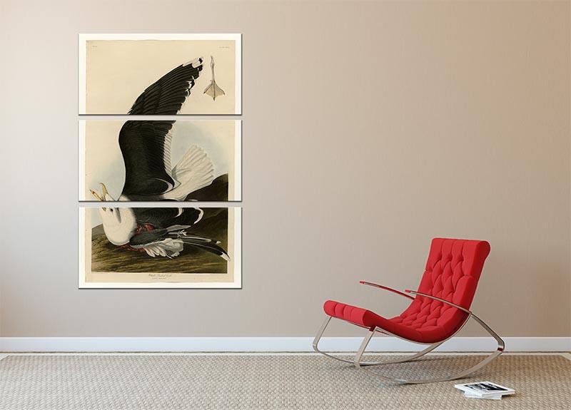 Black Backed Gull by Audubon 3 Split Panel Canvas Print - Canvas Art Rocks - 2