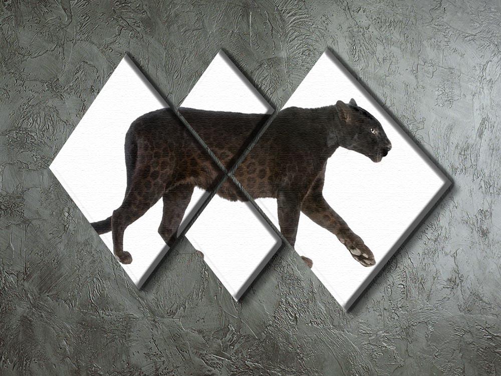Black Leopard 4 Square Multi Panel Canvas - Canvas Art Rocks - 2