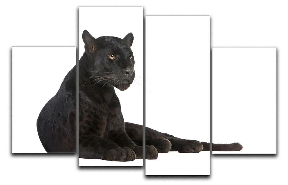Black Leopard 6 years 4 Split Panel Canvas - Canvas Art Rocks - 1