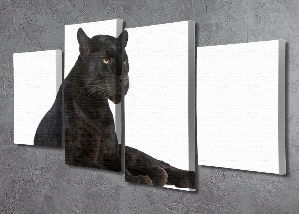 Black Leopard 6 years 4 Split Panel Canvas - Canvas Art Rocks - 2