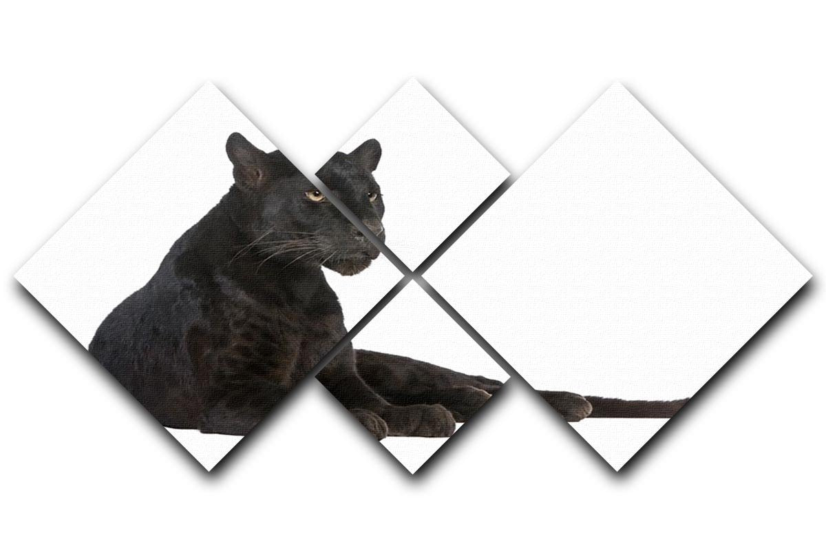Black Leopard 6 years 4 Square Multi Panel Canvas - Canvas Art Rocks - 1