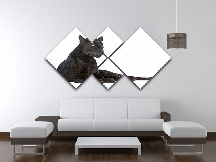 Black Leopard 6 years 4 Square Multi Panel Canvas - Canvas Art Rocks - 3