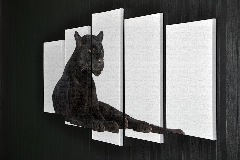 Black Leopard 6 years 5 Split Panel Canvas - Canvas Art Rocks - 2