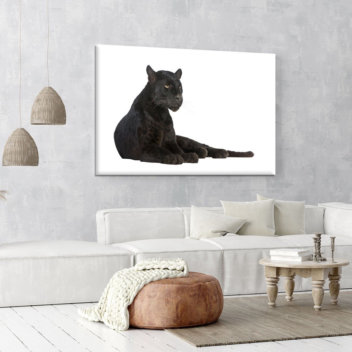 Black Leopard 6 years Canvas Print or Poster