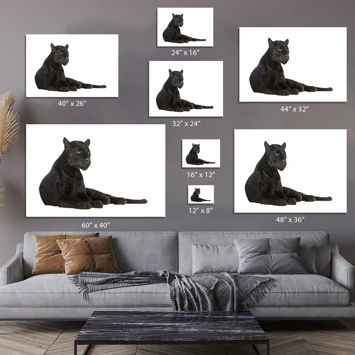 Black Leopard 6 years Canvas Print or Poster